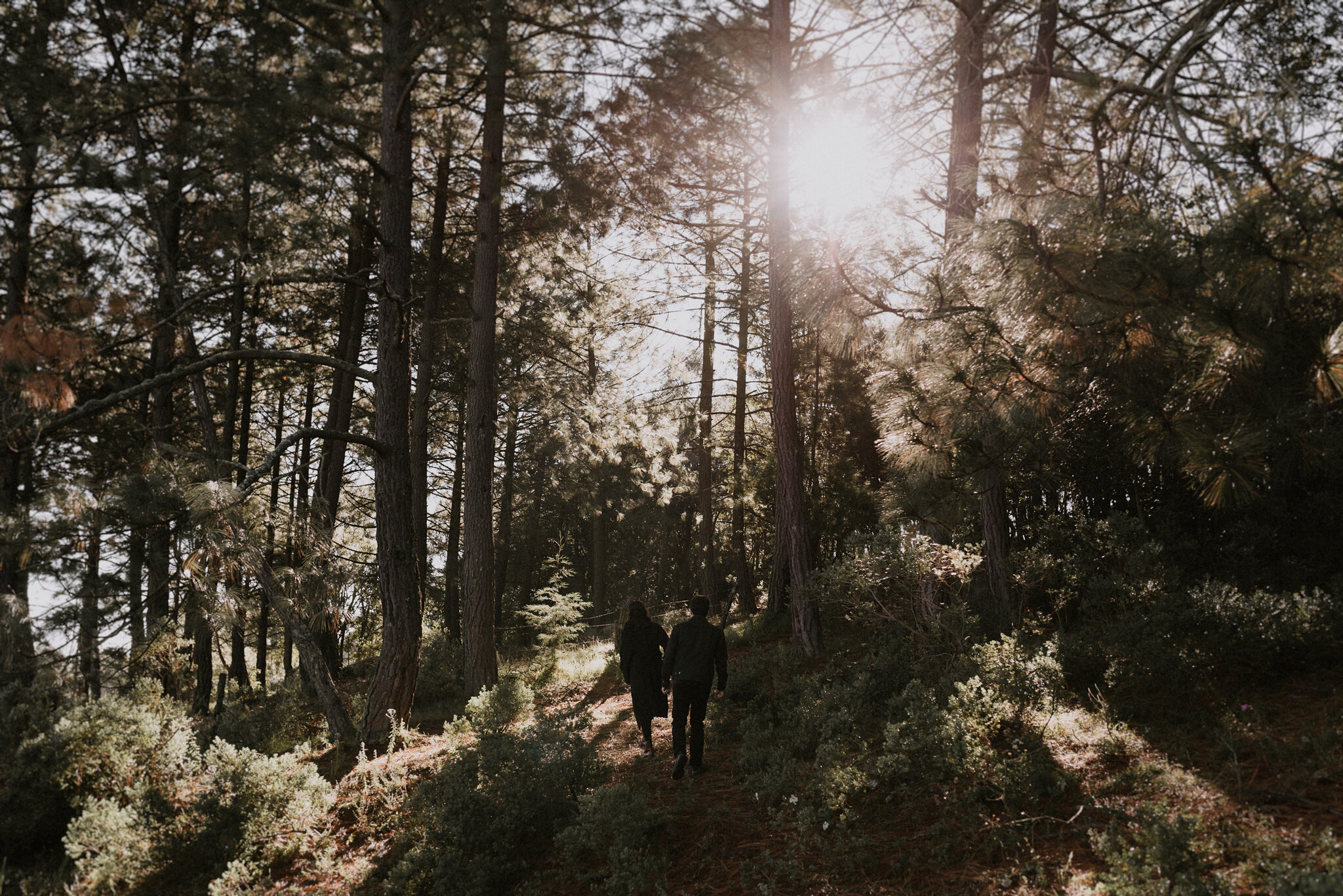 MEXICO COUPLE SESSION - IN THE WOODS - ANNA SAUZA PHOTOGRAPHY -47.jpg